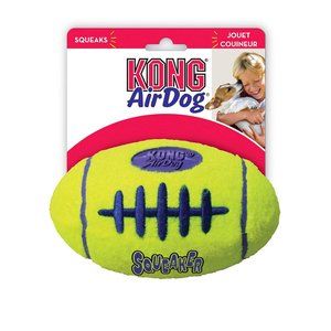 Kong Football Toy